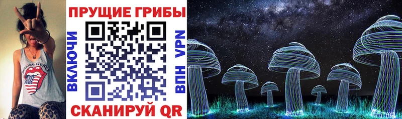 Галлюциногенные грибы Psilocybine cubensis  Купить где  Кадников 