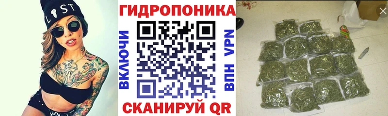 Купить где  Кадников  Бошки марихуана Amnesia 